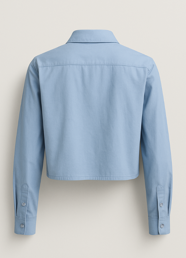 Camisa alforzas brillos